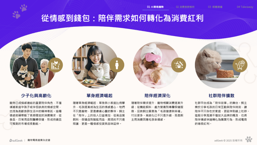 陪伴經濟 陪伴經濟